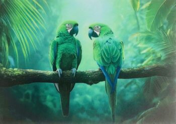 Akustikbilder – Bild 5